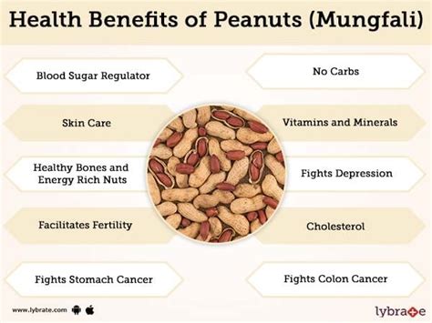 mungfali|mungfali benefits for men.